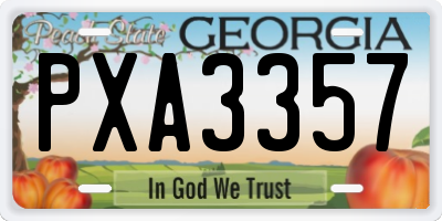 GA license plate PXA3357