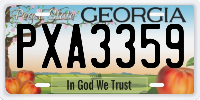 GA license plate PXA3359