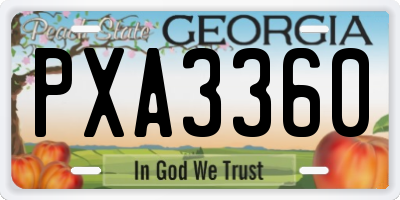 GA license plate PXA3360