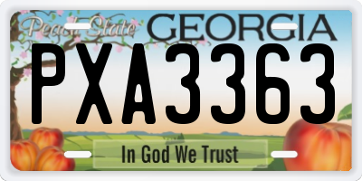 GA license plate PXA3363