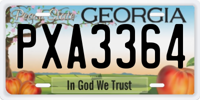 GA license plate PXA3364