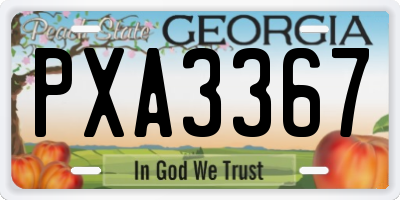GA license plate PXA3367