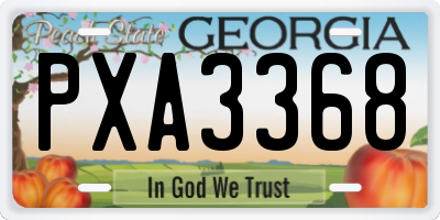 GA license plate PXA3368