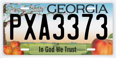 GA license plate PXA3373