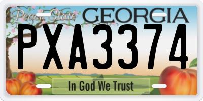 GA license plate PXA3374