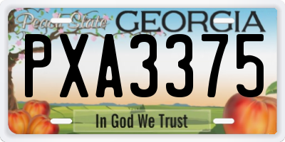 GA license plate PXA3375