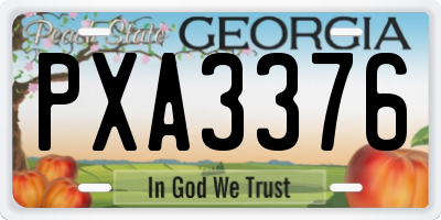 GA license plate PXA3376