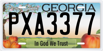GA license plate PXA3377