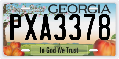 GA license plate PXA3378