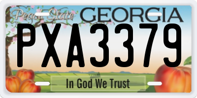 GA license plate PXA3379