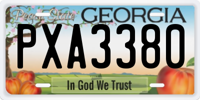 GA license plate PXA3380