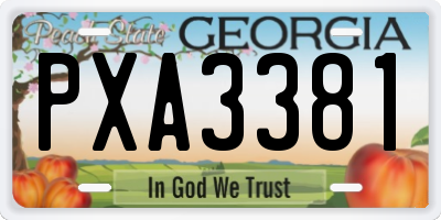 GA license plate PXA3381