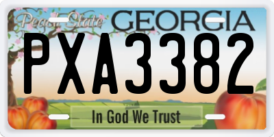 GA license plate PXA3382