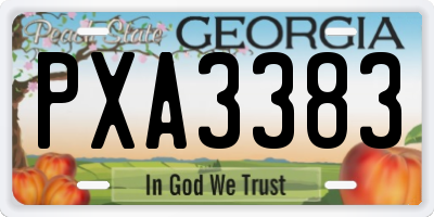 GA license plate PXA3383