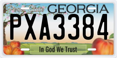 GA license plate PXA3384