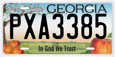 GA license plate PXA3385