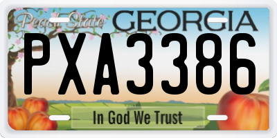 GA license plate PXA3386
