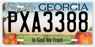 GA license plate PXA3388