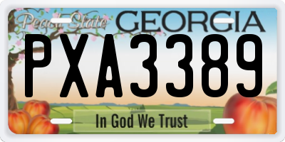 GA license plate PXA3389