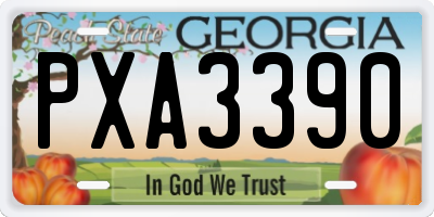 GA license plate PXA3390