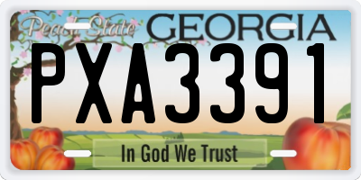 GA license plate PXA3391