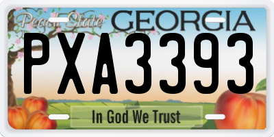 GA license plate PXA3393