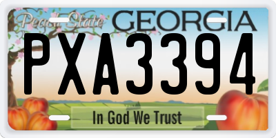 GA license plate PXA3394