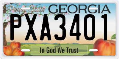 GA license plate PXA3401
