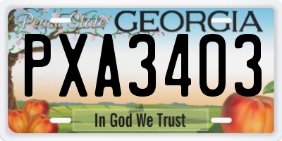 GA license plate PXA3403