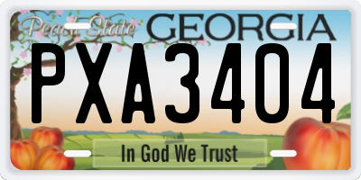 GA license plate PXA3404