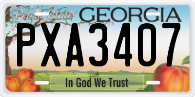 GA license plate PXA3407