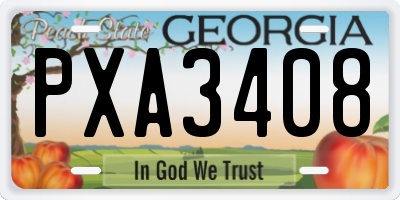 GA license plate PXA3408