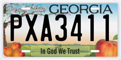 GA license plate PXA3411