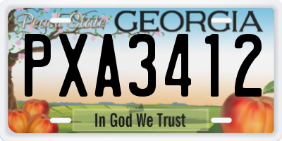 GA license plate PXA3412