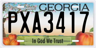 GA license plate PXA3417