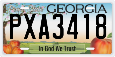 GA license plate PXA3418