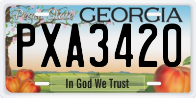 GA license plate PXA3420