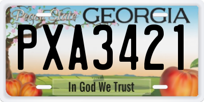 GA license plate PXA3421