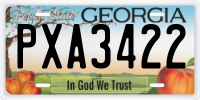 GA license plate PXA3422