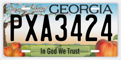 GA license plate PXA3424