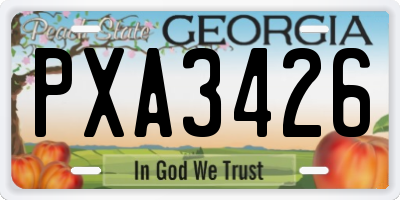 GA license plate PXA3426