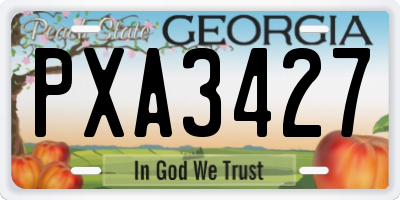 GA license plate PXA3427