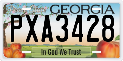 GA license plate PXA3428