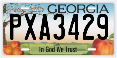 GA license plate PXA3429