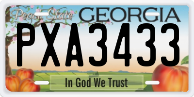 GA license plate PXA3433