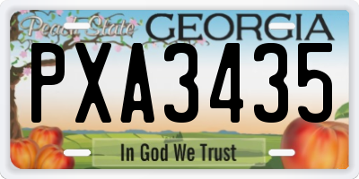 GA license plate PXA3435