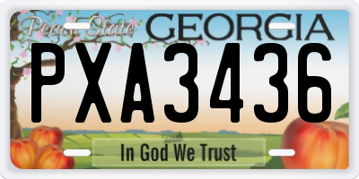 GA license plate PXA3436