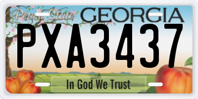 GA license plate PXA3437
