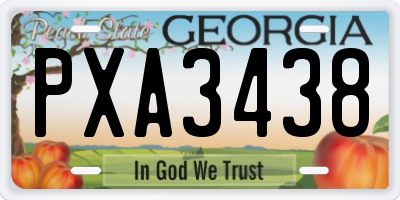 GA license plate PXA3438