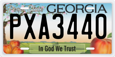 GA license plate PXA3440